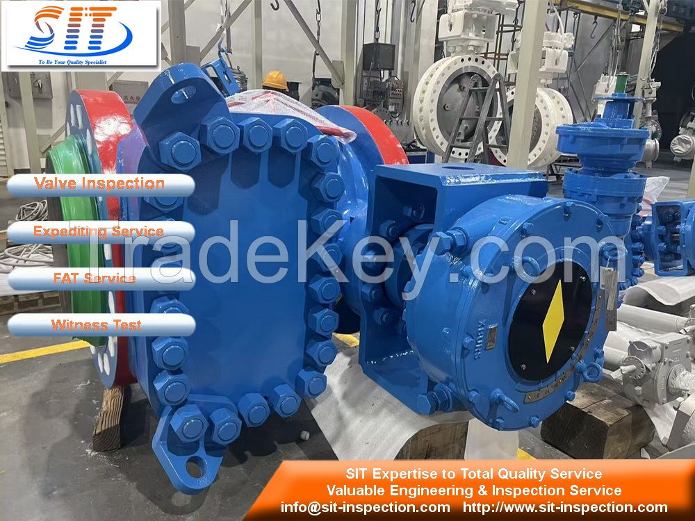 Valves Inspection