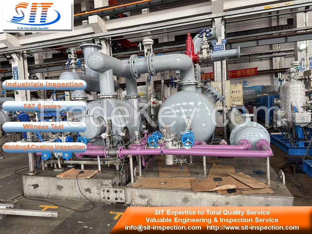 Pump Inspection