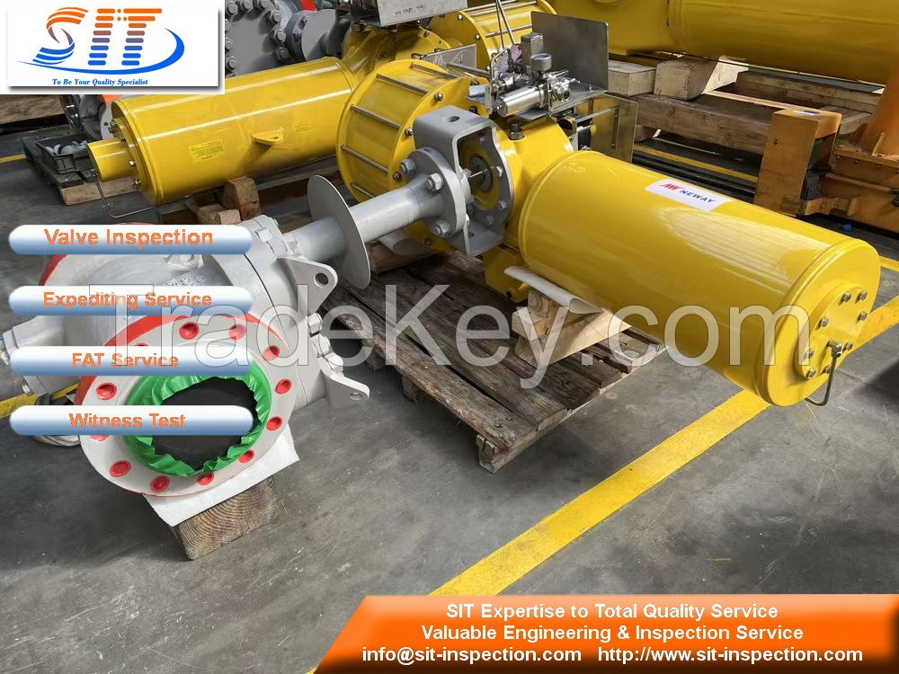 Valves Inspection