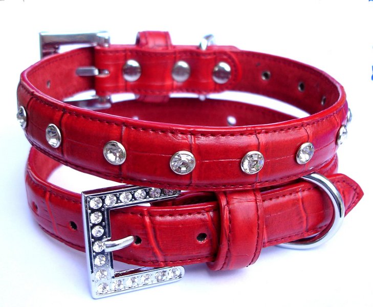 Crysatl dog collar