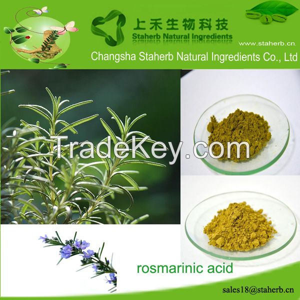 Factory supply Rosmarinic acid,Rosemary extract,Preservative