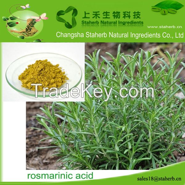 Factory supply Rosmarinic acid,Rosemary extract,Preservative