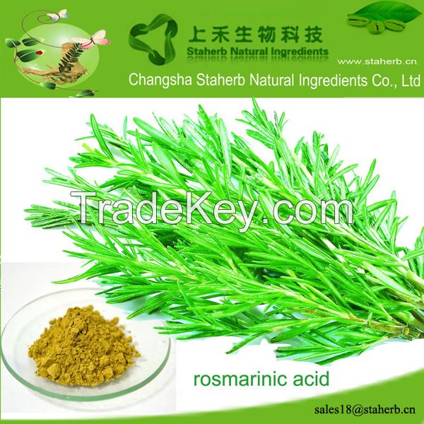 Factory supply Rosmarinic acid,Rosemary extract,Preservative