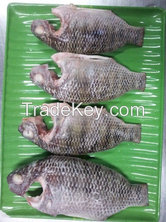 frozen tilapia whole clean