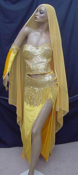 belly dance costume2