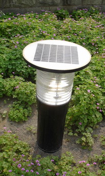 Solar Lawn Light