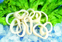 sell frozen seafood Illex Squid, Loligo Squid