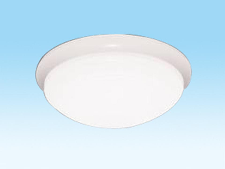 LED Ceiling Light C-RA240/300