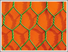 hexagonal  wire mesh