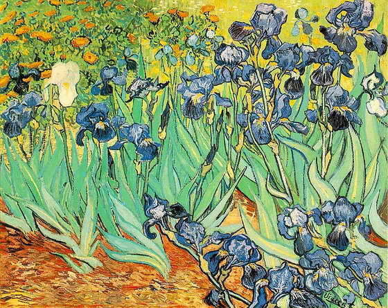 Oil Painting on canvas :Irises  -  Vincent  Van Gogh