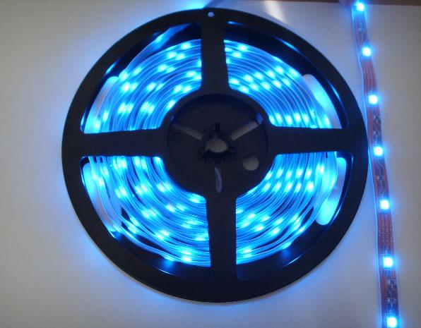 Waterproof LED Strip Light (GP-LR3528G30WP-12)