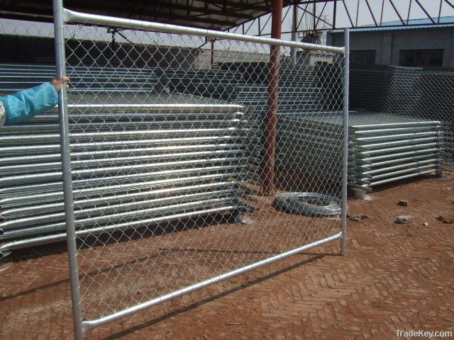 Temporary Chain Link Fence