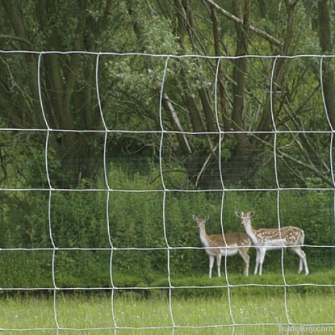 Field fence 3