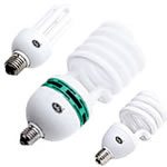 Energy Saver Bulb