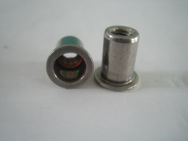 stainless steel flat head round body rivet nut