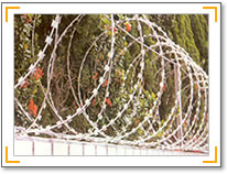 razor barbed wire