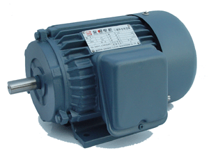 Y series three phase induction motor