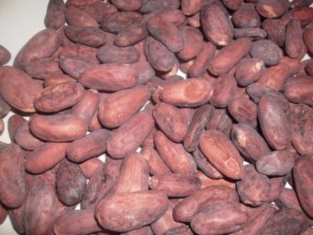 cocoa beans