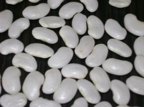 White Kidney Beans