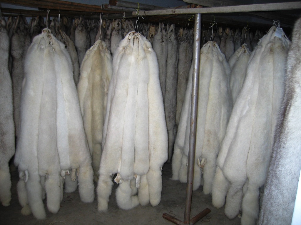 FOX FUR SKINS