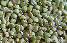 Hulled Buckwheat Groats