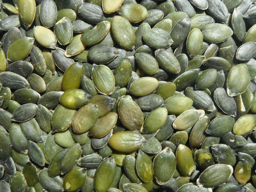 Sell Pumpkinseed kernels (GWS)