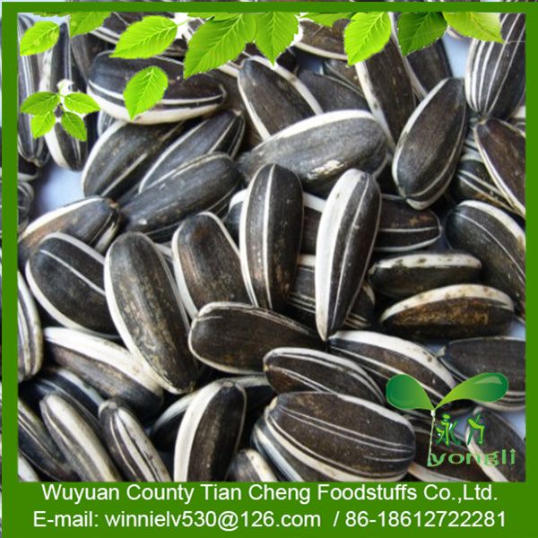 Inner Mongolia Black Sunflower seeds 5009