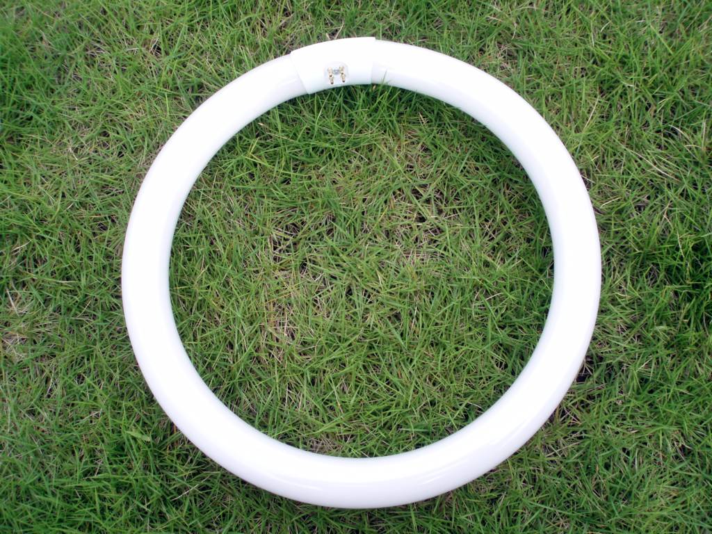 circular  fluorescent  lamp