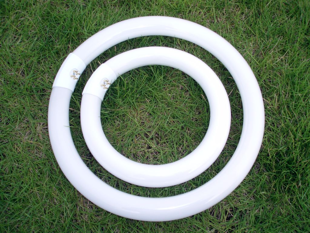 T9 Circular fluorescent lamp