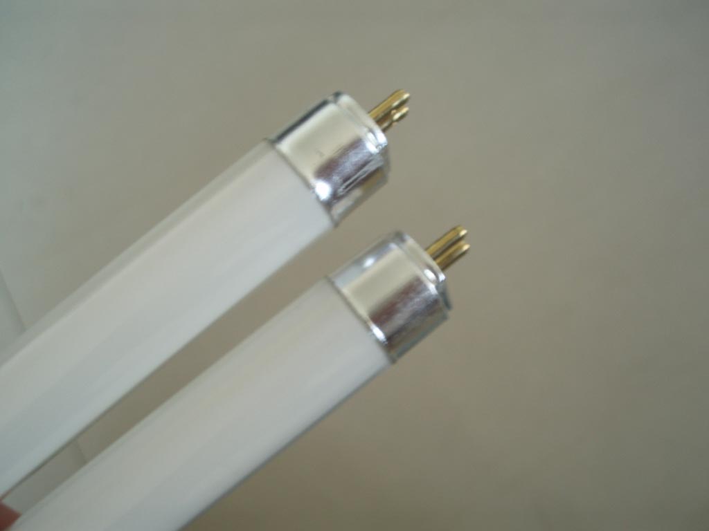 T5 Fluorescent lamp