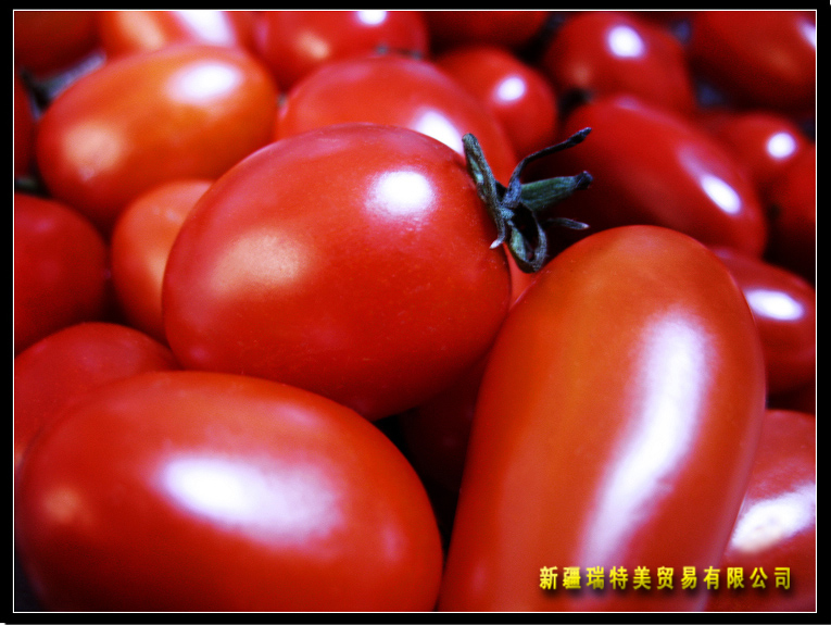 tomato paste (origin XinJiang)