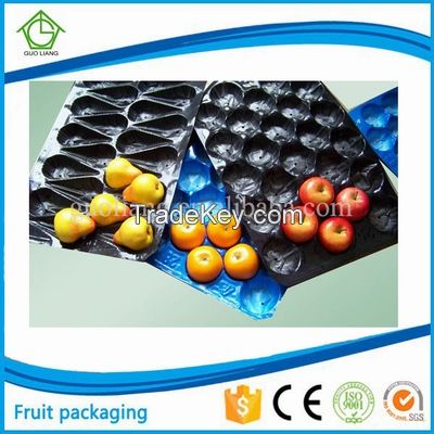 Vacuum Formed Blister Packaging 29X39cm 29x49cm 39x59cm Plastic Fruit Tray