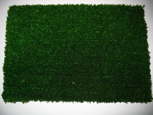 Tennis grass