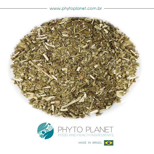 YERBA MATE TEA