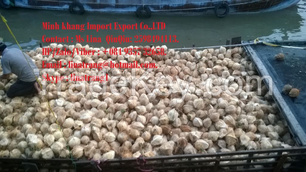 Dried coconut/Mature coconut (wechat +84 935 732 658)