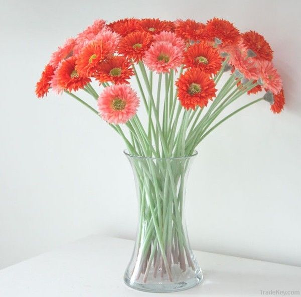 Single branch chrysanthemum