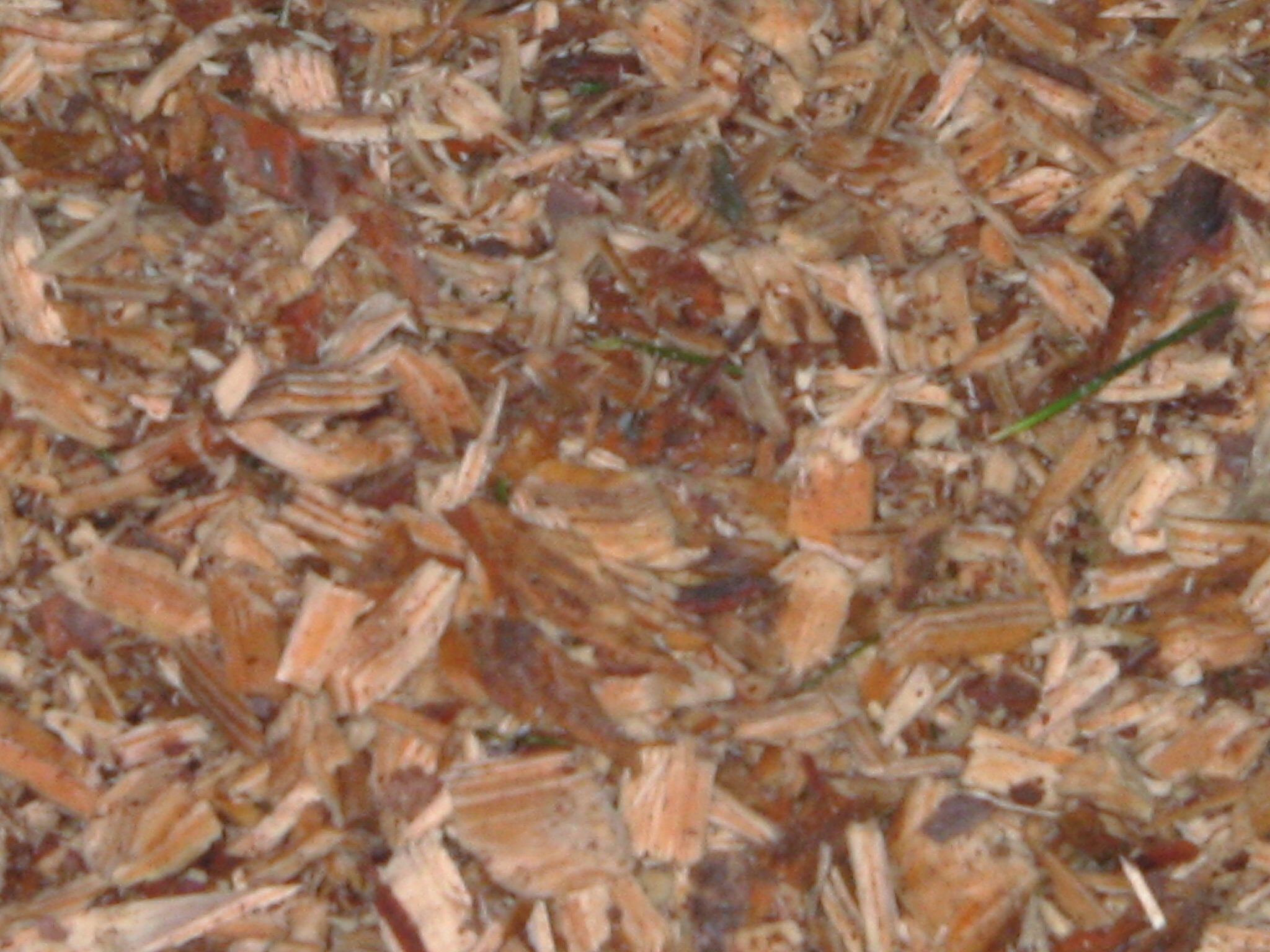 100% Southern Yellow Pine (Dirty) Chips