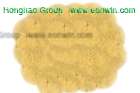 Ginkgo Biloba Leaf Extract