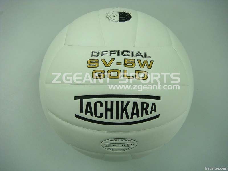 Size 5 Laminated Microfiber PU 18 panels volleyball