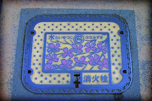 FRP manhole cover