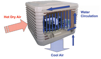 Evaporative Air Cooler