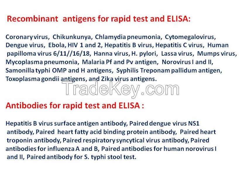 Recombinant antigens and antibodies for rapid test and ELISA