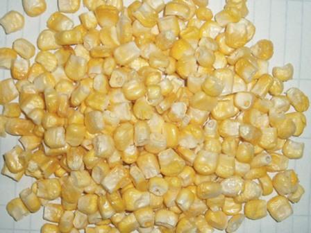 Freeze dried sweet corn