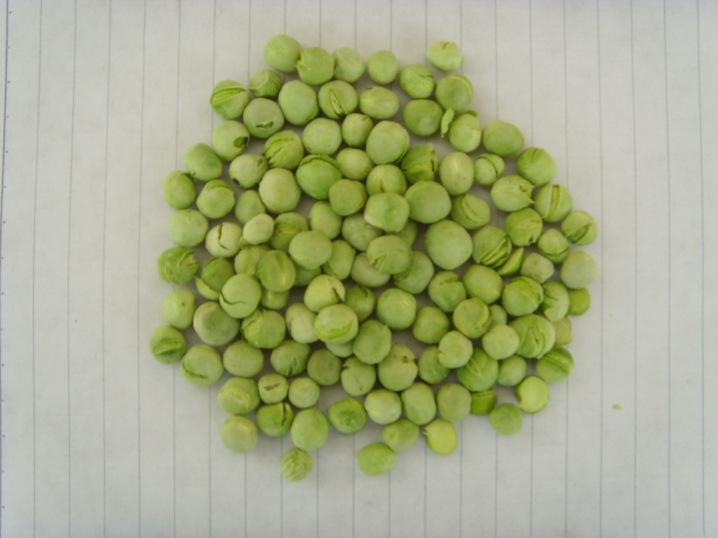 Freeze-dried green pea