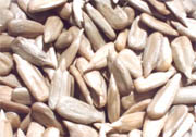 sunflower seed kernels