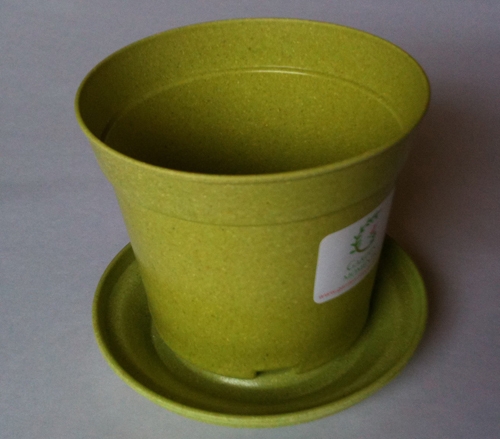 biodegradable planter