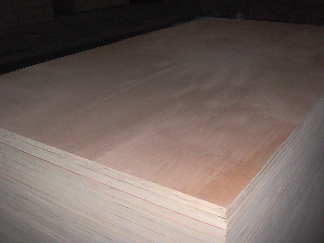 Okoume Plywood