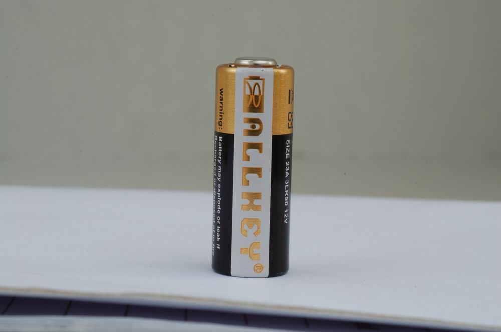 Alarm Battery