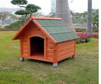 wooden dog house