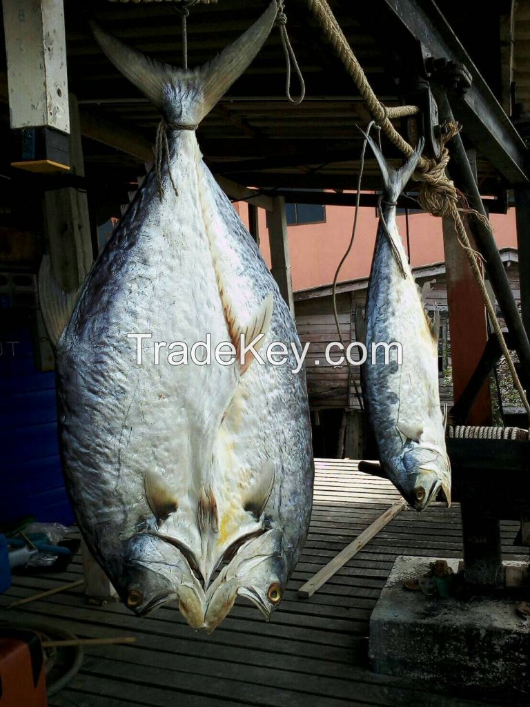 Salted dried fish